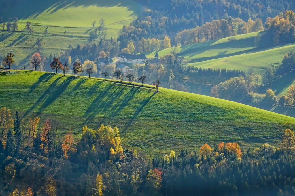 Zielone wzgórza z drzewami na tle lasów.