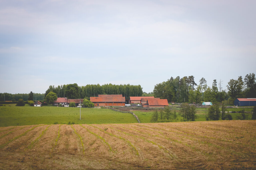 * CHWALĘCIN (28)