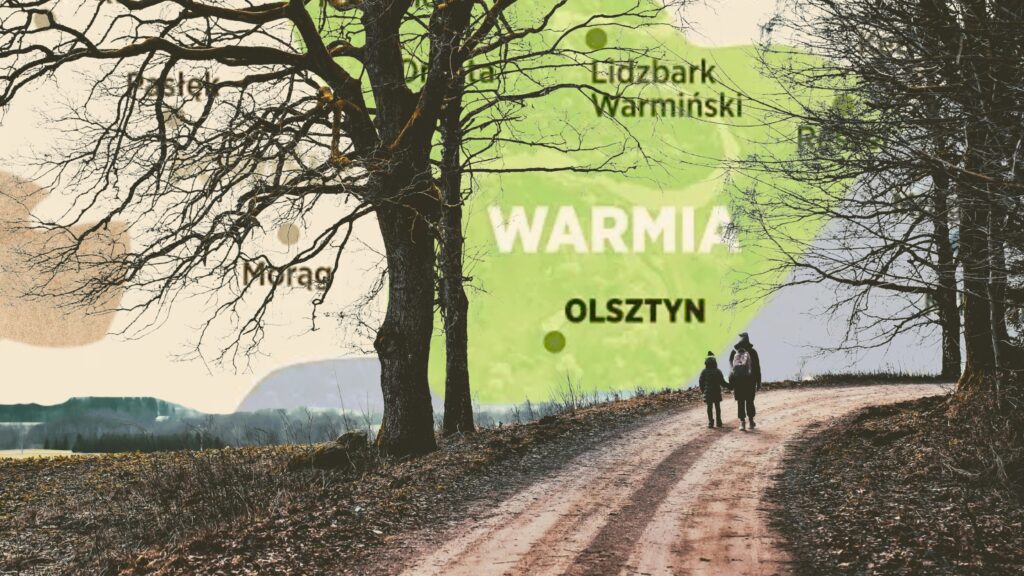 Spacerująca para na drodze w lesie