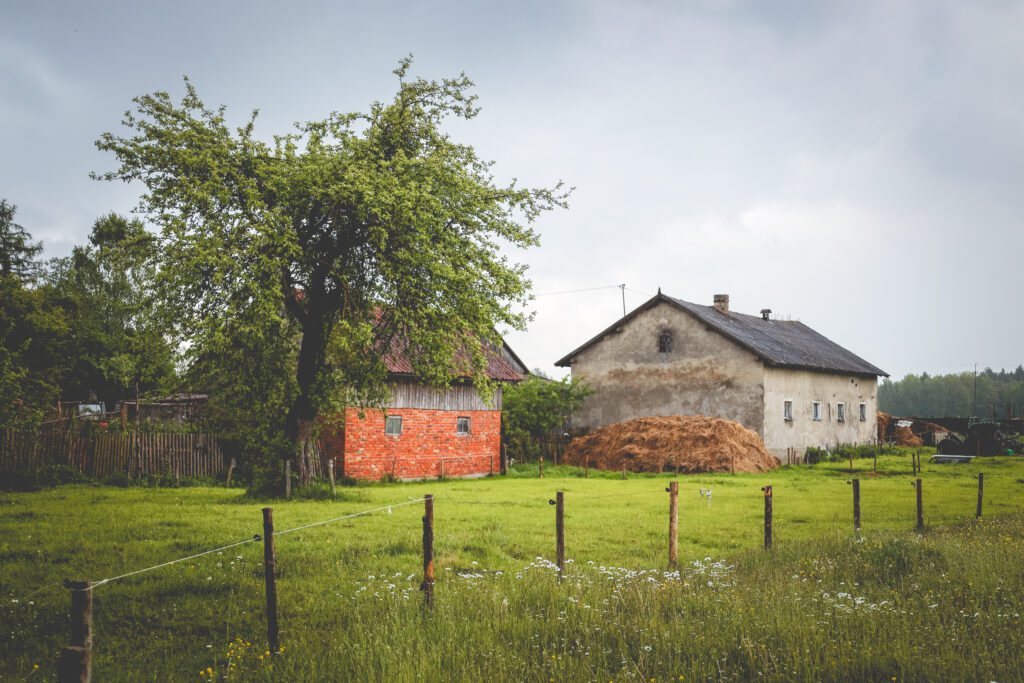 Wiejskie podwórko z domami i drzewem.