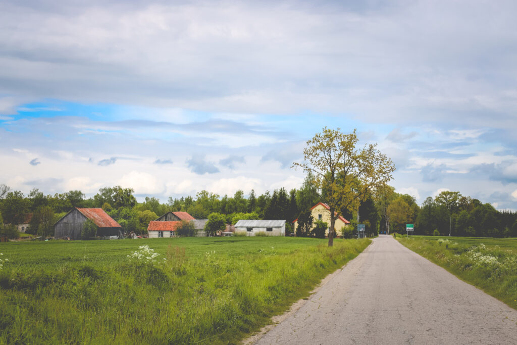 Wiejska droga z domami i zielonymi polami