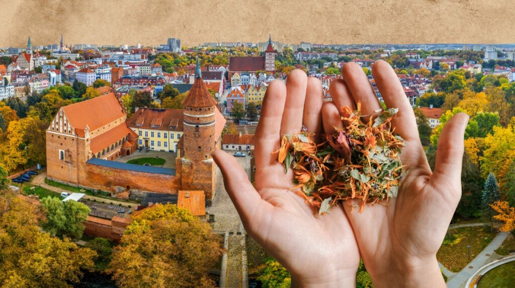 Widok na miasto z zamkiem i ręką trzymającą kwiaty