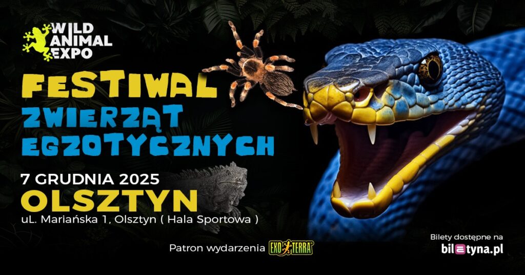 Plakat zapraszający na festiwal egzotycznych zwierząt.