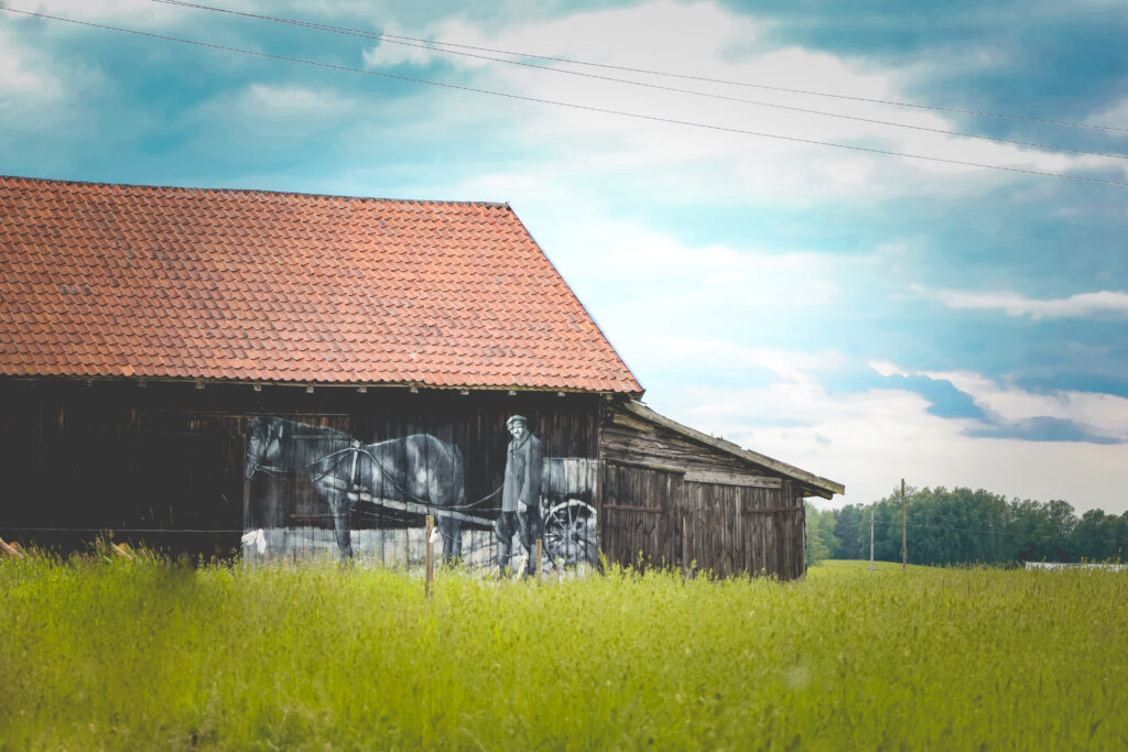 Stara stodoła z muralem przedstawiającym mężczyznę i konia.