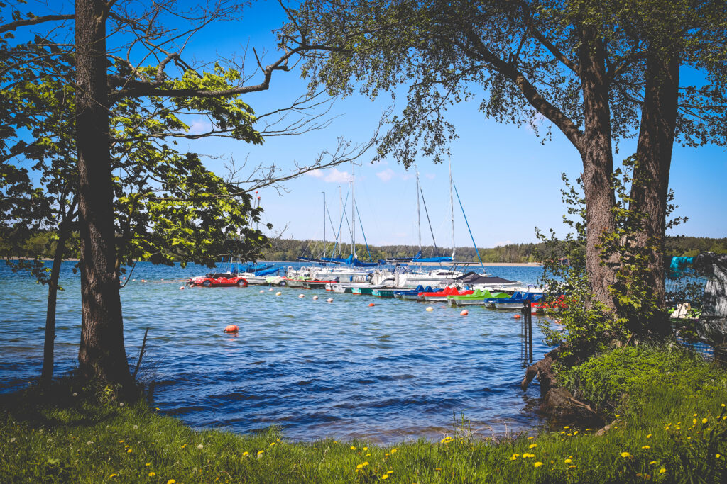 Widok na jezioro z jachtami