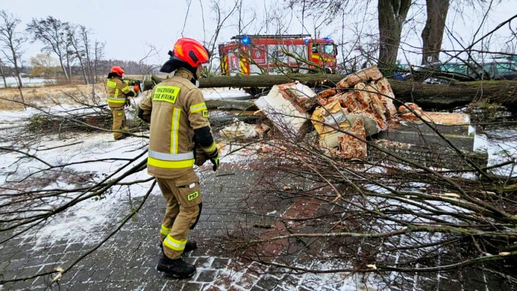 Strażacy usuwają przewrócone drzewa po burzy.