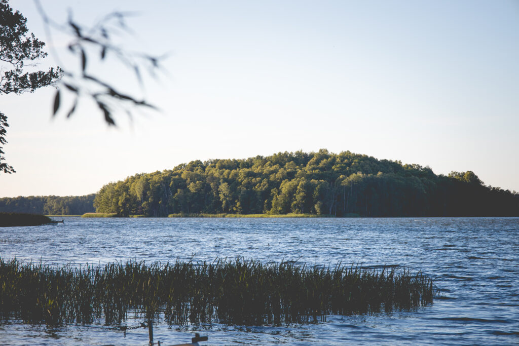 Zielona wyspa na tle jeziora