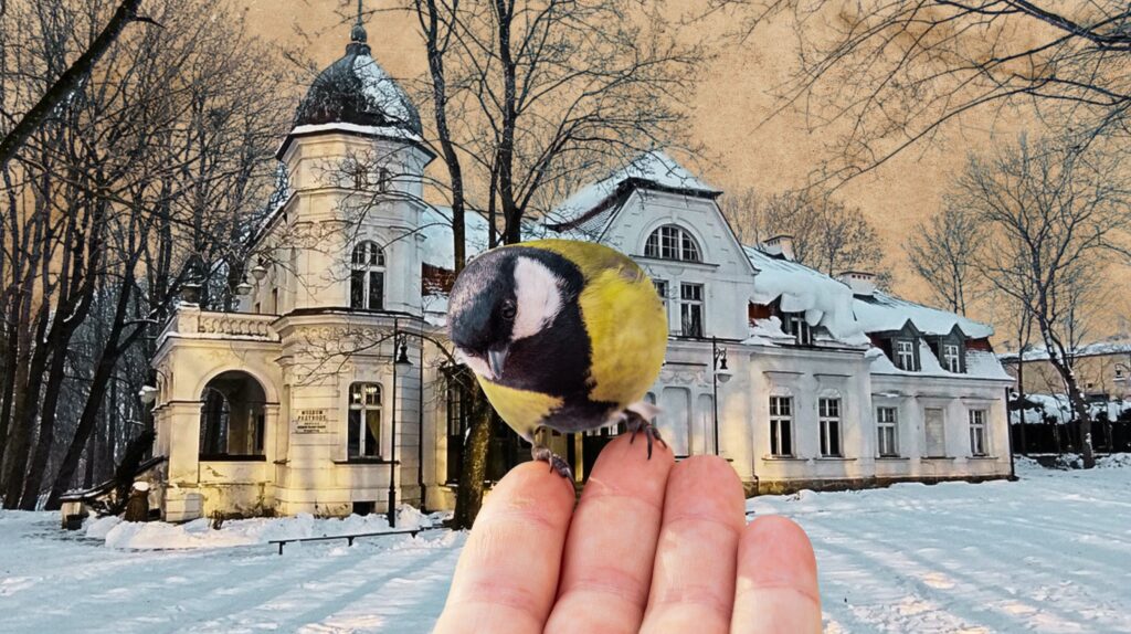 Ptak na dłoni w zimowym krajobrazie.