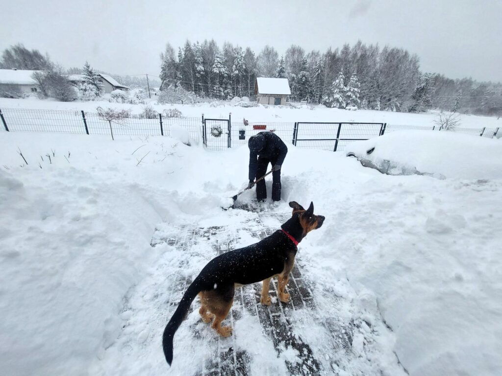 Mężczyzna odśnieża ścieżkę w śniegu, obok pies