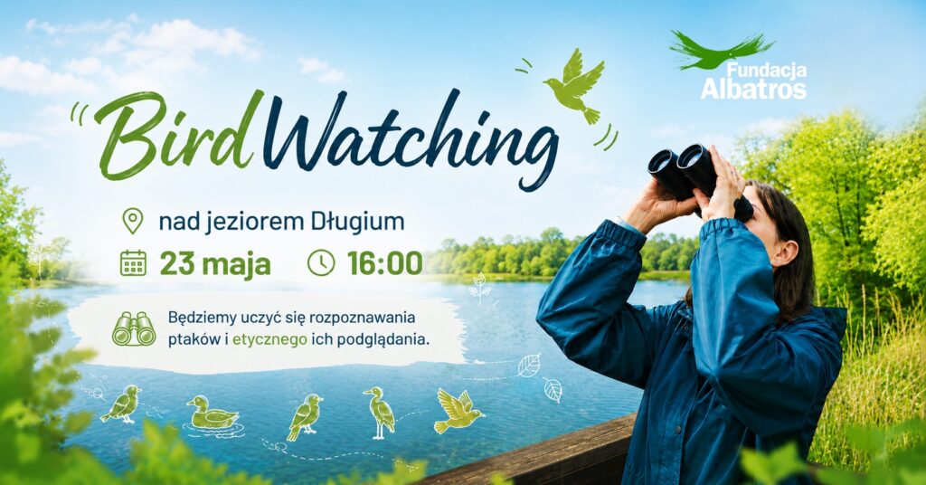 Osoba obserwująca ptaki nad jeziorem.