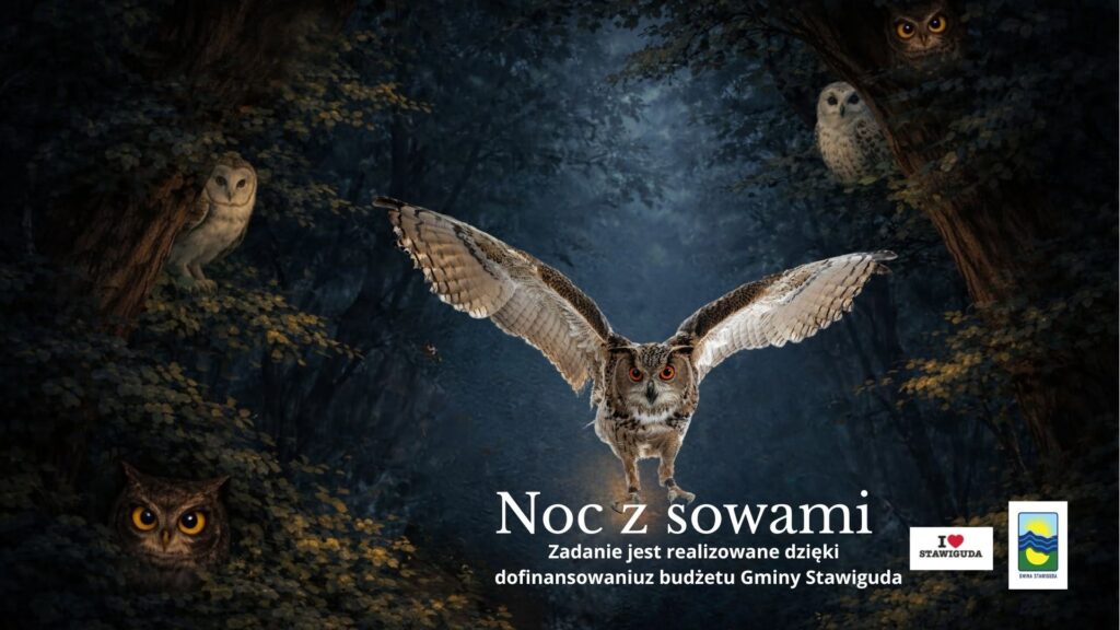 Sowy w lesie nocą.