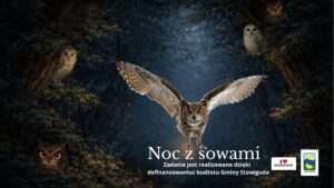 Sowy w lesie nocą.