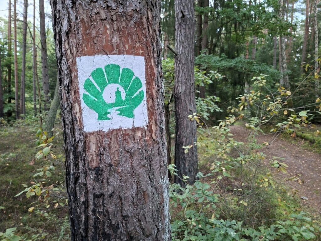 Zielony znak na drzewie w lesie.